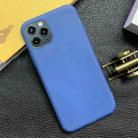 For iPhone 12 / 12 Pro Shockproof Frosted TPU Transparent Protective Case(Blue) - 1