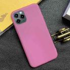 For iPhone 12 / 12 Pro Shockproof Frosted TPU Transparent Protective Case(Pink) - 1