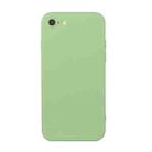 For iPhone SE 2022 / SE 2020 / 8 / 7 Straight Edge Solid Color TPU Shockproof Case(Matcha Green) - 1