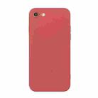 For iPhone SE 2022 / SE 2020 / 8 / 7 Straight Edge Solid Color TPU Shockproof Case(Hawthorn Red) - 1