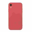 For iPhone XR Straight Edge Solid Color TPU Shockproof Case(Hawthorn Red) - 1