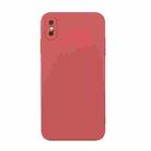 For iPhone XS Max Straight Edge Solid Color TPU Shockproof Case(Hawthorn Red) - 1