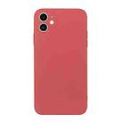 For iPhone 11 Straight Edge Solid Color TPU Shockproof Case (Hawthorn Red) - 1