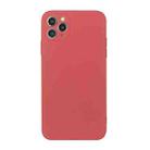 For iPhone 11 Pro Max Straight Edge Solid Color TPU Shockproof Case (Hawthorn Red) - 1