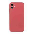 For iPhone 12 mini Straight Edge Solid Color TPU Shockproof Case (Hawthorn Red) - 1