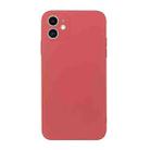 For iPhone 12 Straight Edge Solid Color TPU Shockproof Case(Hawthorn Red) - 1