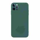 For iPhone 12 Pro Straight Edge Solid Color TPU Shockproof Case(Dark Night Green) - 1