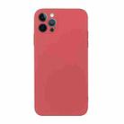 For iPhone 12 Pro Straight Edge Solid Color TPU Shockproof Case(Hawthorn Red) - 1