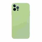 For iPhone 12 Pro Max Straight Edge Solid Color TPU Shockproof Case(Matcha Green) - 1