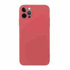 For iPhone 12 Pro Max Straight Edge Solid Color TPU Shockproof Case(Hawthorn Red) - 1