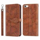 Life of Tree Embossing Pattern Horizontal Flip Leather Case with Holder & Card Slot & Wallet & Photo Frame & Lanyard For iPhone 6 Plus & 6s Plus(Brown) - 1