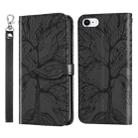 Life of Tree Embossing Pattern Horizontal Flip Leather Case with Holder & Card Slot & Wallet & Photo Frame & Lanyard For iPhone 8 & 7(Black) - 1