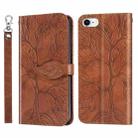 Life of Tree Embossing Pattern Horizontal Flip Leather Case with Holder & Card Slot & Wallet & Photo Frame & Lanyard For iPhone 8 & 7(Brown) - 1