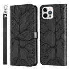 For iPhone 12 Pro Max Life of Tree Embossing Pattern Horizontal Flip Leather Case with Holder & Card Slot & Wallet & Photo Frame & Lanyard(Black) - 1