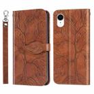 For iPhone XR Life of Tree Embossing Pattern Horizontal Flip Leather Case with Holder & Card Slot & Wallet & Photo Frame & Lanyard(Brown) - 1