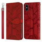 For iPhone XS Max Life of Tree Embossing Pattern Horizontal Flip Leather Case with Holder & Card Slot & Wallet & Photo Frame & Lanyard(Red) - 1