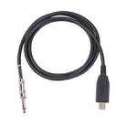 US48S USB to 6.35mm Electric Guitar Recording Cable, Cable Length:2m - 1