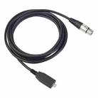 TY18 USB-C / Type-C Male to Cannon Female Microphone Recording Cable, Cable Length:2m - 1