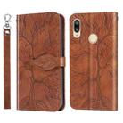 For Huawei P20 Lite Life of Tree Embossing Pattern Horizontal Flip Leather Case with Holder & Card Slot & Wallet & Photo Frame & Lanyard(Brown) - 1