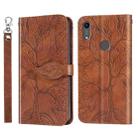 For Huawei Y6 (2019) Life of Tree Embossing Pattern Horizontal Flip Leather Case with Holder & Card Slot & Wallet & Photo Frame & Lanyard(Brown) - 1