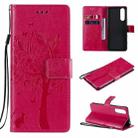 For Sony Xperia5 II Tree & Cat Pattern Pressed Printing Horizontal Flip PU Leather Case with Holder & Card Slots & Wallet & Lanyard(Rose Red) - 1