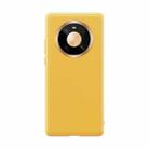 For Huawei Mate 40 ROCK Full Coverage Shockproof PC+TPU+PU Protective Case(Apricot) - 1