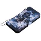 For iPhone 12 mini Painting Horizontal Flip Leather Case with Holder & Card Slot & Lanyard (Magician) - 6