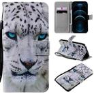 For iPhone 12 Pro Max Painting Horizontal Flip Leather Case with Holder & Card Slot & Lanyard(White Leopard) - 1