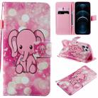 For iPhone 12 Pro Max Painting Horizontal Flip Leather Case with Holder & Card Slot & Lanyard(Pink Elephant) - 1