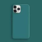 X-level Fancy Series Liquid Silicone Full Coverage Protective Case For iPhone 12 Pro Max(Green) - 1