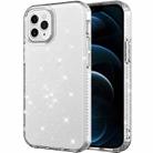 Transparent Glitter Powder Protective Case For iPhone 12 Pro Max(Transparent) - 1
