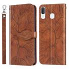 For Samsung Galaxy A40 Life of Tree Embossing Pattern Horizontal Flip Leather Case with Holder & Card Slot & Wallet & Photo Frame & Lanyard(Brown) - 1