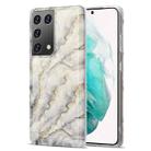 For Samsung Galaxy S21 Ultra 5G TPU Gilt Marble Pattern Protective Case(Grey) - 1