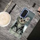 For OnePlus 9 Shockproof Painted Transparent TPU Protective Case(Sitting Cat) - 1