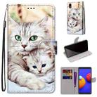 For Samsung Galaxy A01 Core Coloured Drawing Cross Texture Horizontal Flip PU Leather Case with Holder & Card Slots & Wallet & Lanyard(Big Cat Hugging Kitten) - 1