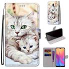 For Xiaomi Redmi 8A Coloured Drawing Cross Texture Horizontal Flip PU Leather Case with Holder & Card Slots & Wallet & Lanyard(Big Cat Holding Kitten) - 1