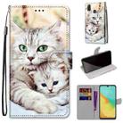 For ZTE Blade V10 Vita Coloured Drawing Cross Texture Horizontal Flip PU Leather Case with Holder & Card Slots & Wallet & Lanyard(Big Cat Holding Kitten) - 1