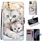 For iPhone 11 Pro Coloured Drawing Cross Texture Horizontal Flip PU Leather Case with Holder & Card Slots & Wallet & Lanyard (Big Cat Holding Kitten) - 1