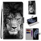 For iPhone 11 Pro Coloured Drawing Cross Texture Horizontal Flip PU Leather Case with Holder & Card Slots & Wallet & Lanyard (B11 Black White Lion Head) - 1