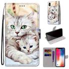 For iPhone X / XS Coloured Drawing Cross Texture Horizontal Flip PU Leather Case with Holder & Card Slots & Wallet & Lanyard(Big Cat Holding Kitten) - 1