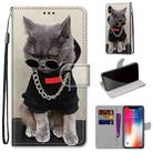 For iPhone X / XS Coloured Drawing Cross Texture Horizontal Flip PU Leather Case with Holder & Card Slots & Wallet & Lanyard(B09 Golden Chain Grey Cat) - 1