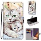 For Samsung Galaxy Note20 Ultra Coloured Drawing Cross Texture Horizontal Flip PU Leather Case with Holder & Card Slots & Wallet & Lanyard(Big Cat Hugging Kitten) - 1