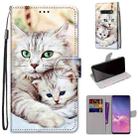 For Samsung Galaxy S10 Coloured Drawing Cross Texture Horizontal Flip PU Leather Case with Holder & Card Slots & Wallet & Lanyard(Big Cat Hugging Kitten) - 1