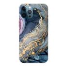 For iPhone 12 Pro Max Marble Pattern Shockproof  TPU Protective Case(Abstract Gold) - 1