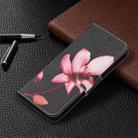For Xiaomi Poco M3 Colored Drawing Pattern Horizontal Flip Leather Case with Holder & Card Slots & Wallet(Lotus) - 6