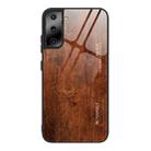 For Samsung Galaxy S21 Plus Wood Grain Glass Protective Case(M02) - 1