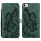 Retro Skin Feel Butterflies Embossing Horizontal Flip Leather Case with Holder & Card Slots & Wallet For iPhone 6 / 6s(Green) - 1