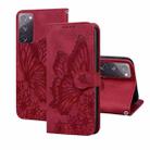 For Samsung Galaxy S20 FE Retro Skin Feel Butterflies Embossing Horizontal Flip Leather Case with Holder & Card Slots & Wallet(Red) - 1
