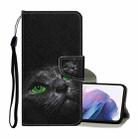 For Samsung Galaxy S21+ 5G Colored Drawing Pattern Horizontal Flip Leather Case with Holder & Card Slots & Wallet & Lanyard(Black Cat) - 1