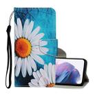 For Samsung Galaxy S21+ 5G Colored Drawing Pattern Horizontal Flip Leather Case with Holder & Card Slots & Wallet & Lanyard(Chrysanthemum) - 1